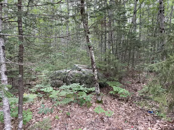 Newcastle, ME 04553,0 Evergreen RD