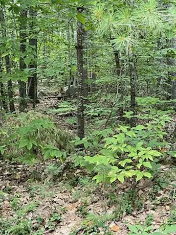 Naples, ME 04055,Lot 034 Dunton RD