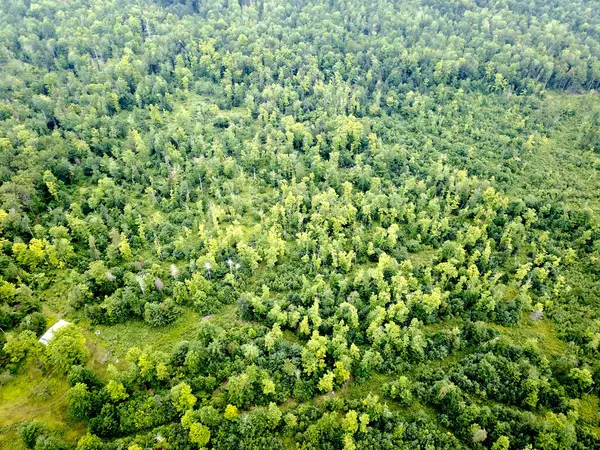 New Portland, ME 04961,453 Middle RD