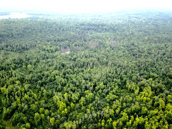 New Portland, ME 04961,453 Middle RD