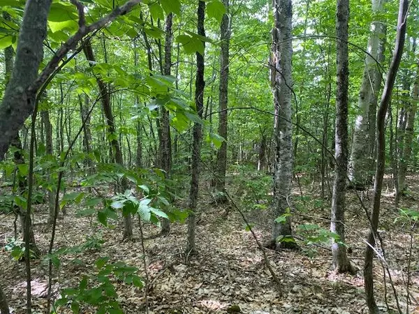 Greenville, ME 04441,L16 Hilltop DR