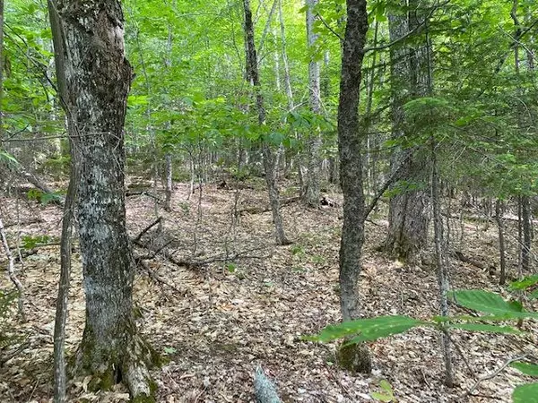 Greenville, ME 04441,L16 Hilltop DR