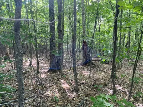 Greenville, ME 04441,L16 Hilltop DR