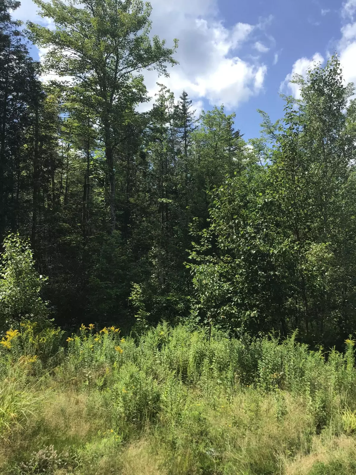 Columbia Falls, ME 04623,Lot 11 Tibbettstown Road