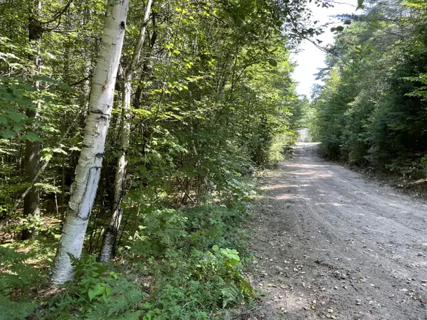 TBD Dumont Circle, Bethel, ME 04217