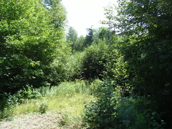 Concord Twp, ME 04920,0000 Fletcher Mountain RD