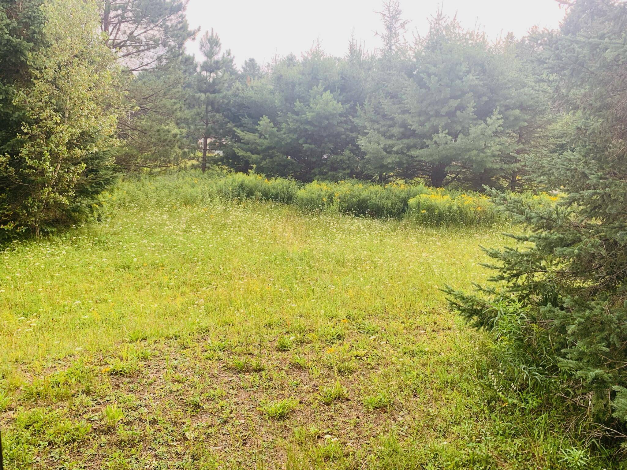 Haynesville, ME 04497,TBD Danforth RD