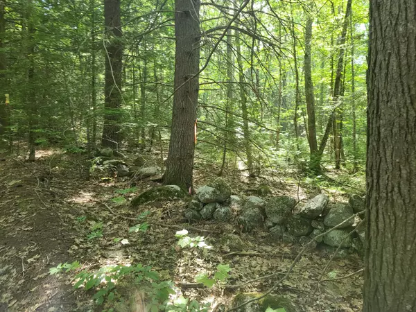 Newcastle, ME 04553,068 Indian Trail RD