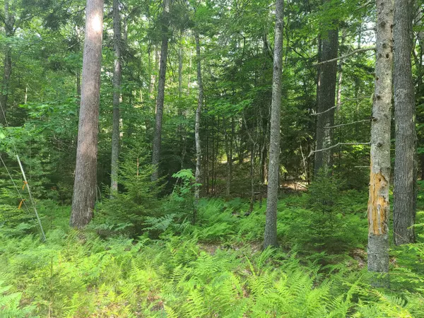 Newcastle, ME 04553,068 Indian Trail RD