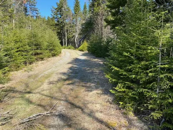 Lot 102, 1 Makers Point RD, Jonesport, ME 04649