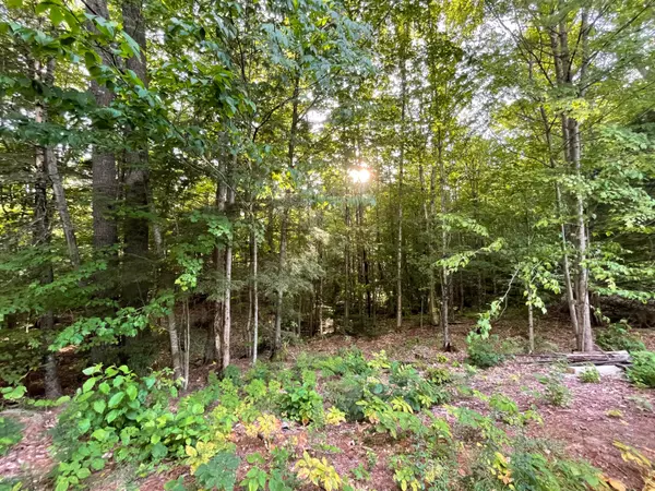 Sweden, ME 04040,Lot 5 Stevenson CIR