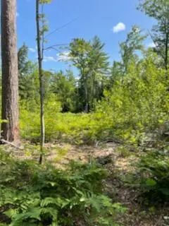 Albany Twp, ME 04217,Lot 28 Baker RD