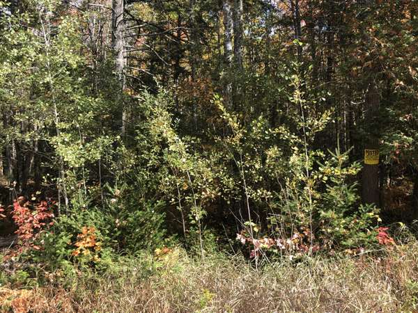 Corinth, ME 04427,Lot 24 2-4 Tate RD