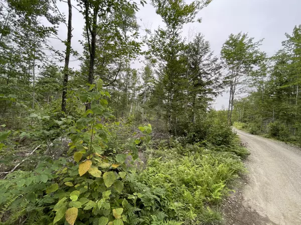 M07 L19D West Madagascal RD, Burlington, ME 04417