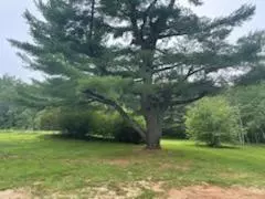 Brunswick, ME 04011,64 Bay Bridge RD