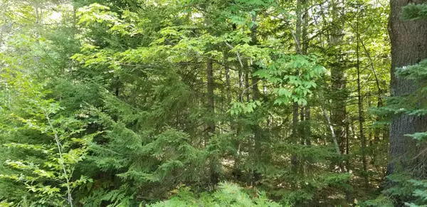 0 Sargeant DR, Mount Desert, ME 04660