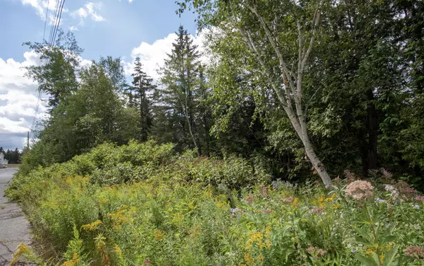 Madawaska, ME 04756,21 Map 009, Lot 075D AVE