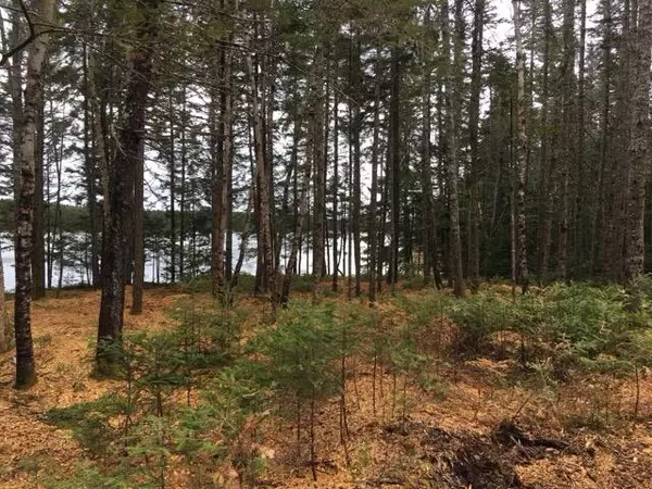 Steuben, ME 04680,8 Black Bear Trail