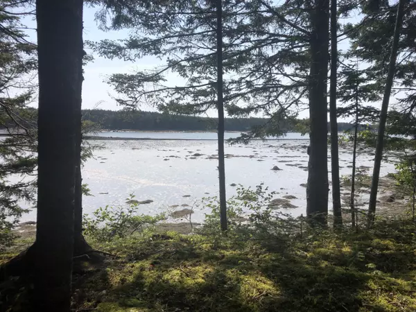 8 Black Bear Trail, Steuben, ME 04680