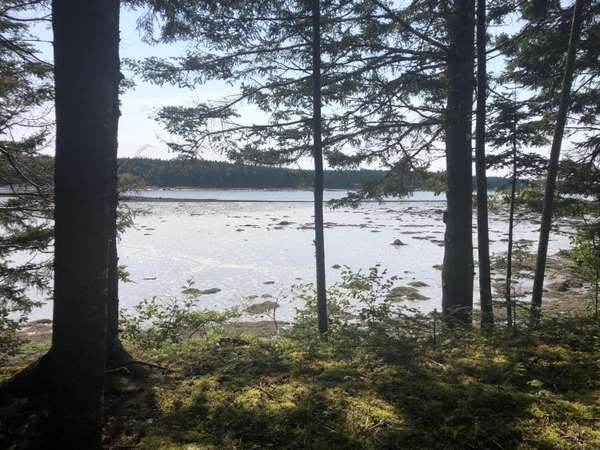 8 Black Bear Trail, Steuben, ME 04680