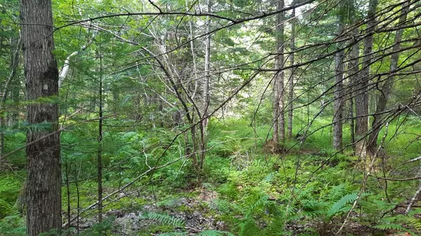 0 Town Farm RD, Norway, ME 04268