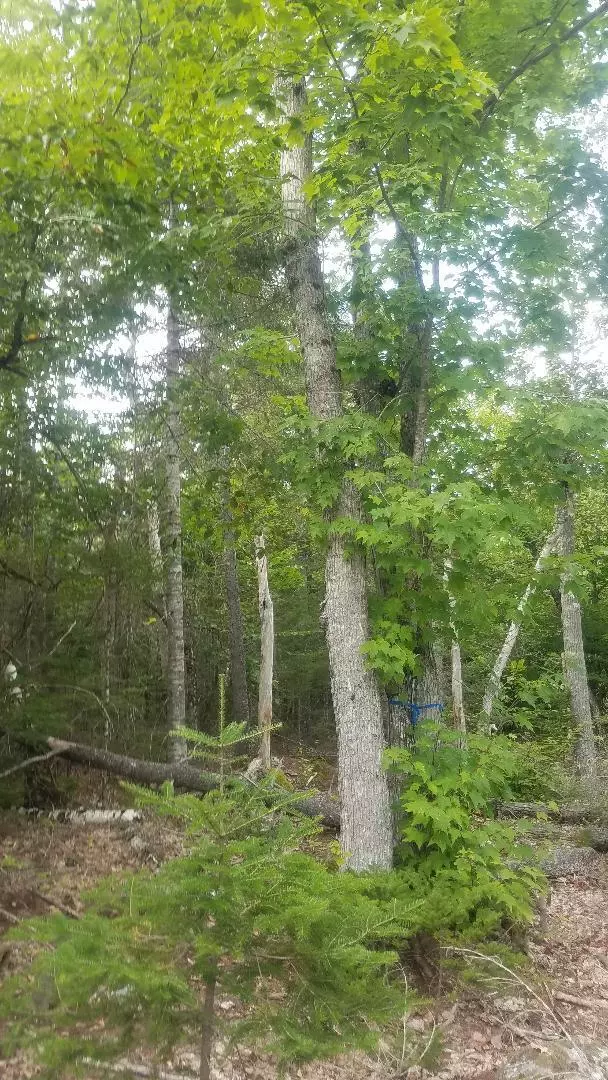 Otis, ME 04605,0 VETERANS WAY REMAINING ACRES WAY