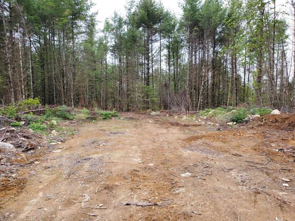 Surry, ME 04684,160 ac Off Hida Way RD