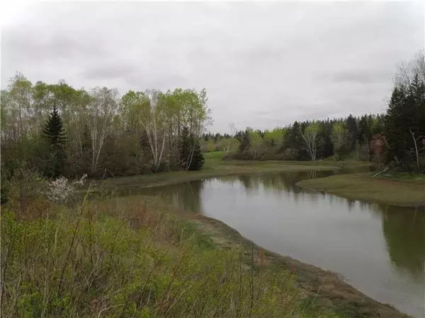 Lot 34 Smalls Point RD, Machiasport, ME 04655