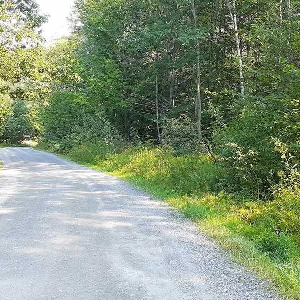 Belgrade, ME 04917,Lot 5 Cathedral Pines LN