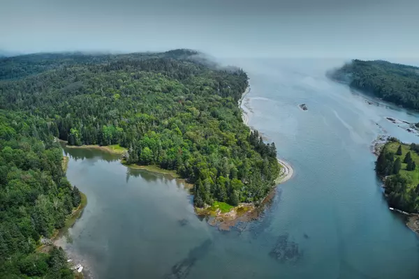 Trescott Twp, ME 04652,0 Dixie RD