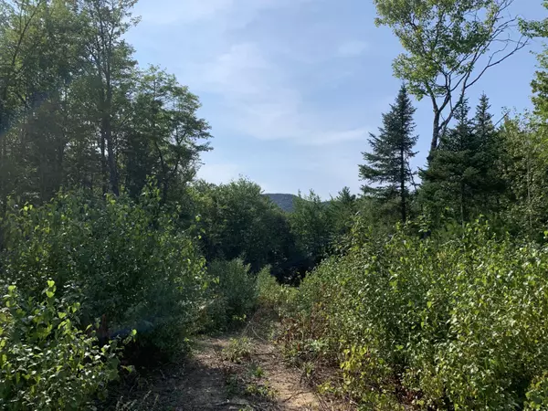 Lot 22 Thunder Snow RD, Bethel, ME 04217