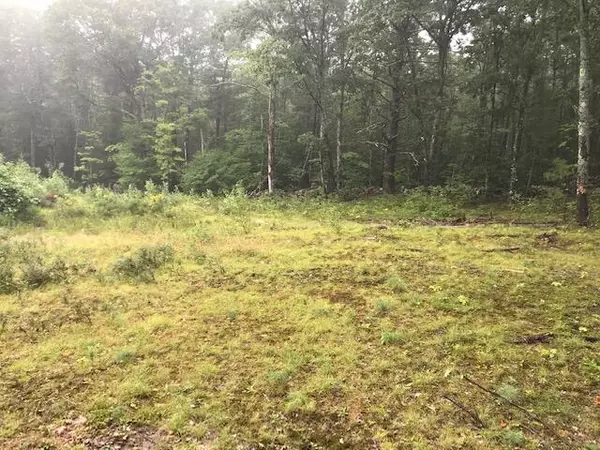 Shapleigh, ME 04076,00 Ross Corner RD