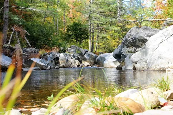 Lot 4 Moosely Ridge Road, Phillips, ME 04966