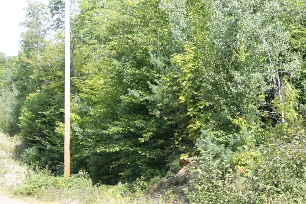 Phillips, ME 04966,Lot 4 Moosely Ridge Road