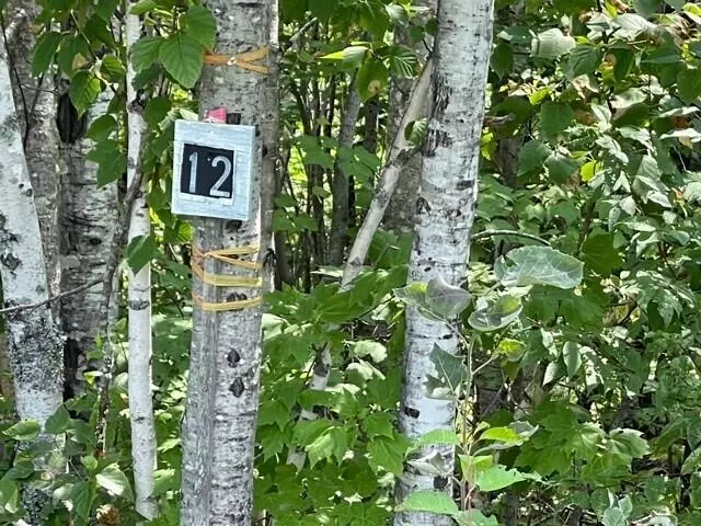 Bangor, ME 04401,Lot 12 Walden Parke WAY