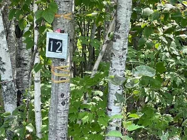 Lot 12 Walden Parke WAY, Bangor, ME 04401