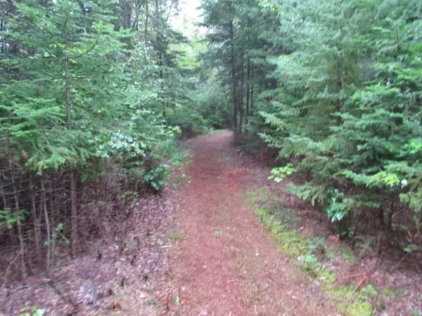 Jackman, ME 04945,173 Long Pond RD