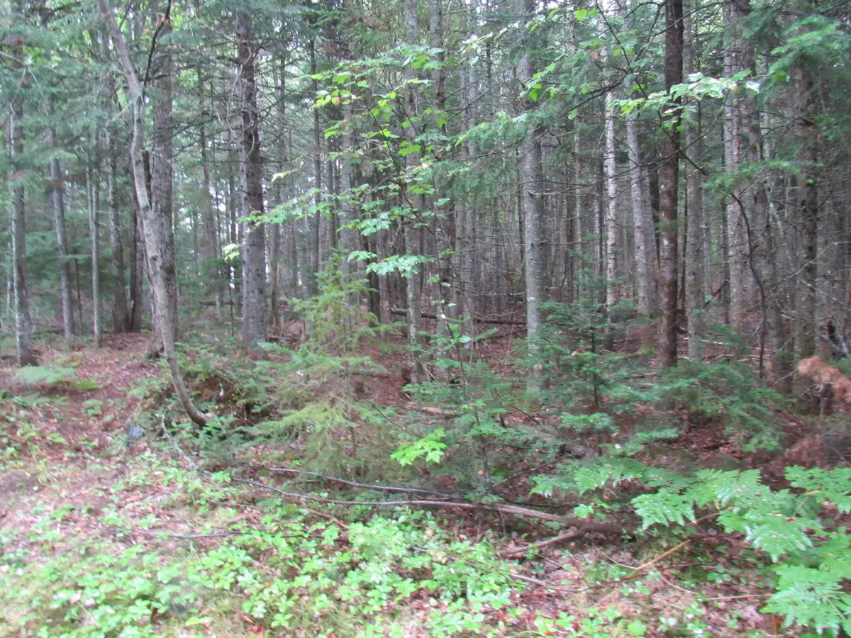 Jackman, ME 04945,173 Long Pond RD