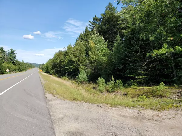 Lot 1 Wilderness Township, T24 Md Bpp, ME 04622