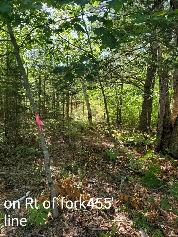 T24 Md Bpp, ME 04622,Lot 1 Wilderness Township