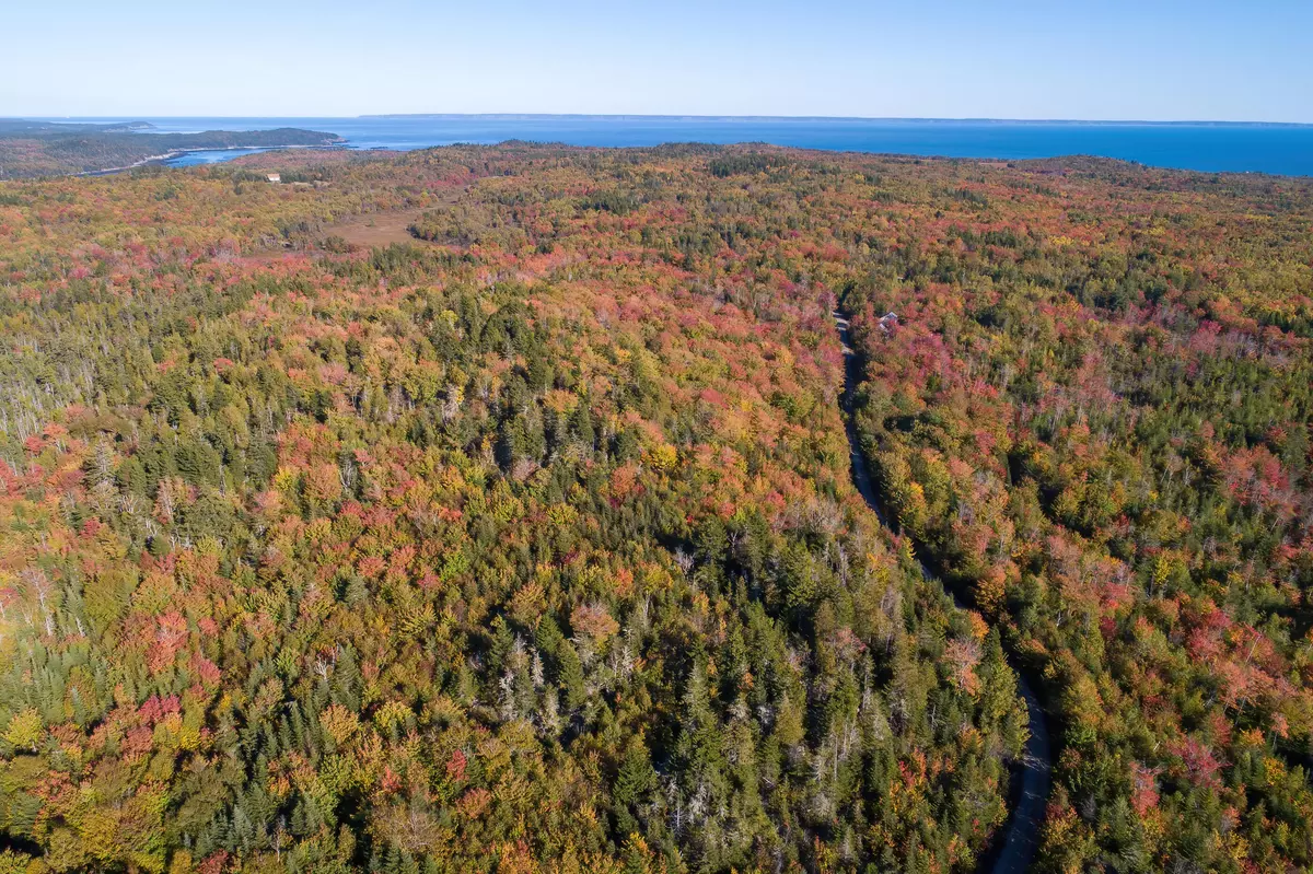 Cutler, ME 04626,Lot 7 Bold Coast Area Properties