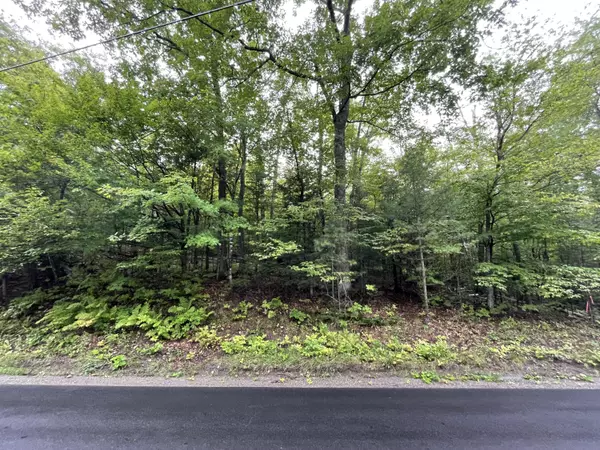 Concord Twp, ME 04920,000 Pleasant Ridge RD #Parcel C