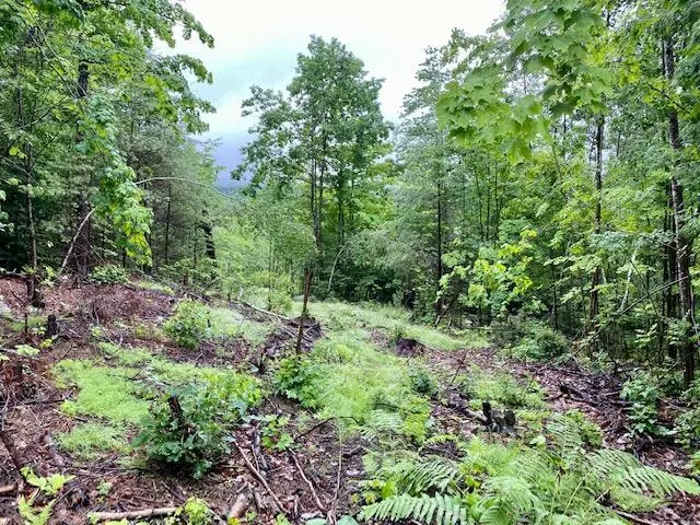 Parsonsfield, ME 04047,000 Hussey RD