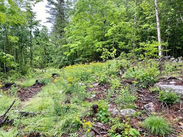 0 Hussey RD, Parsonsfield, ME 04047