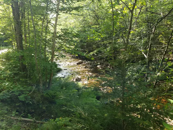 tbd Tyler RD, Mason Twp, ME 04217