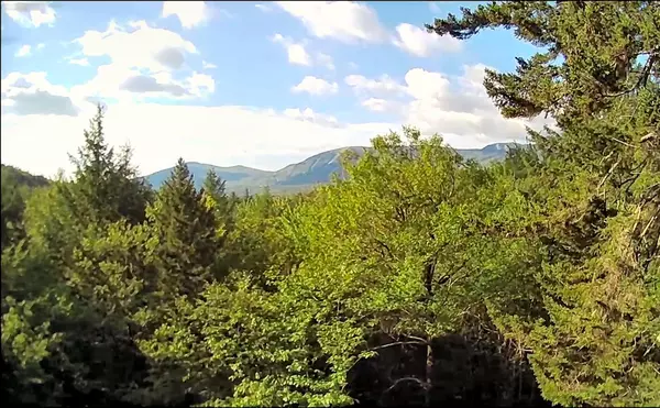 Lot 99 Douglas Road, Newry, ME 04261