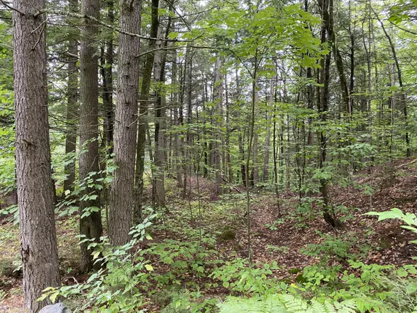 Newry, ME 04261,Lot 99 Douglas Road