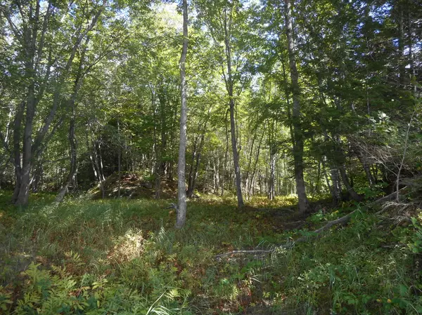 Mattamiscontis Twp, ME 04457,TBD 116 Route