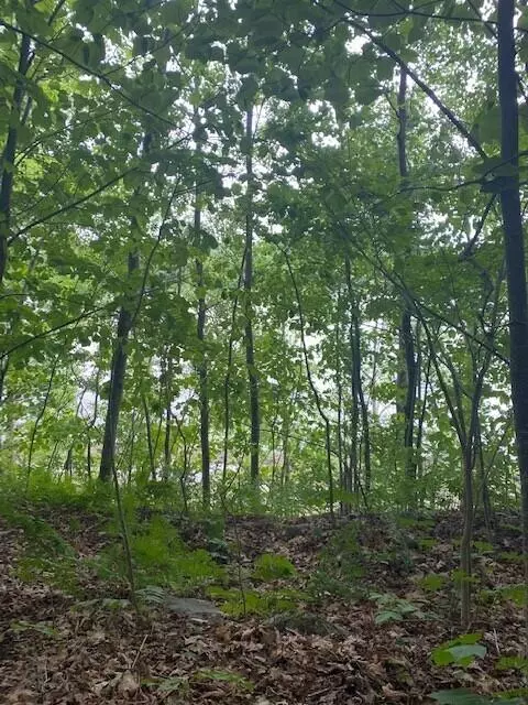 Stockton Springs, ME 04981,0 Route One