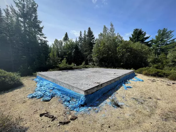 Lot 30-1 Black Cow Meadow RD, Northfield, ME 04654